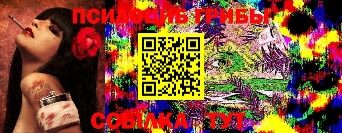 Галлюциногенные грибы Cubensis  Галлюциногенные грибы Cubensis  Дзержинск  Вход с VPN 